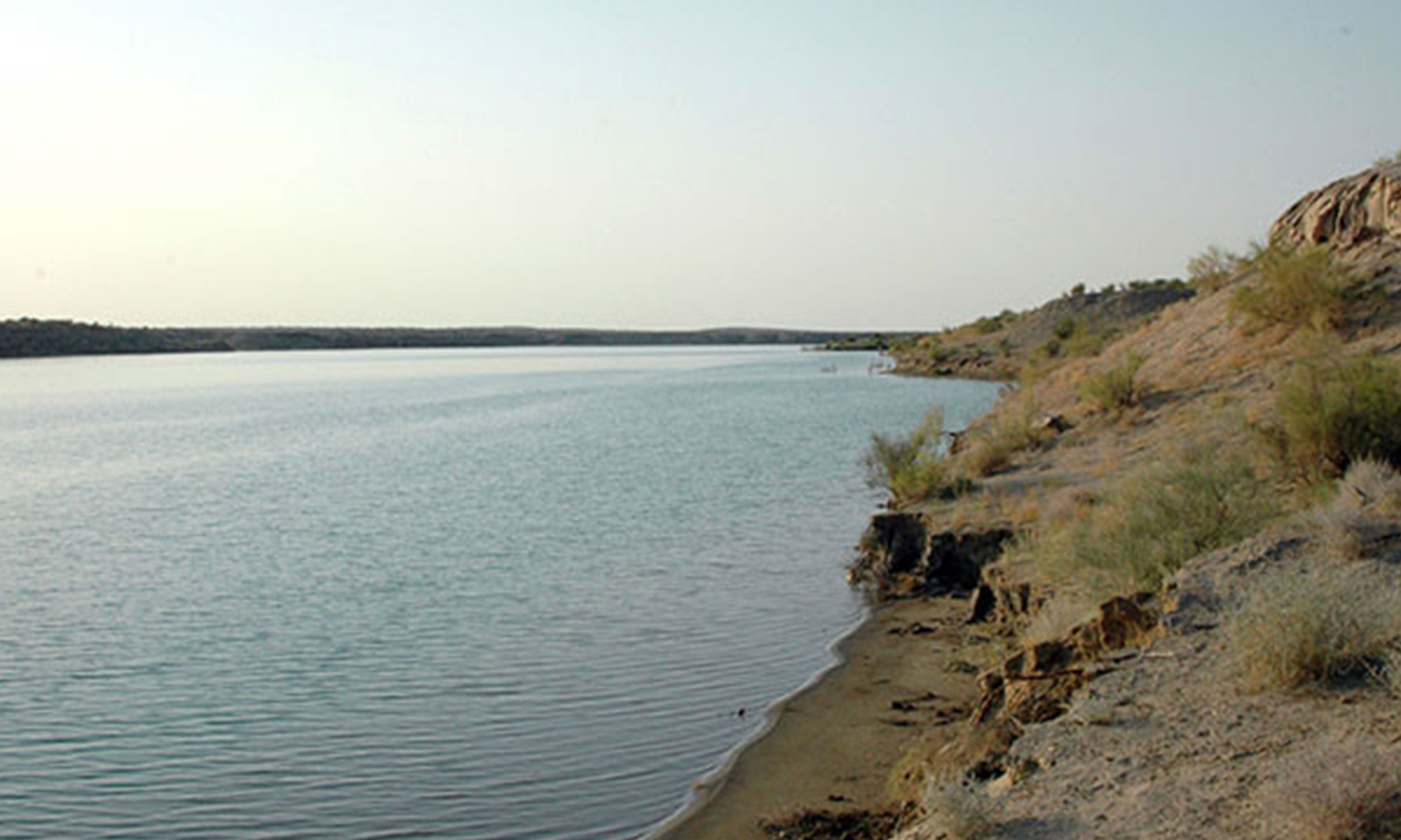 Suw damjasy — altyn dänesi