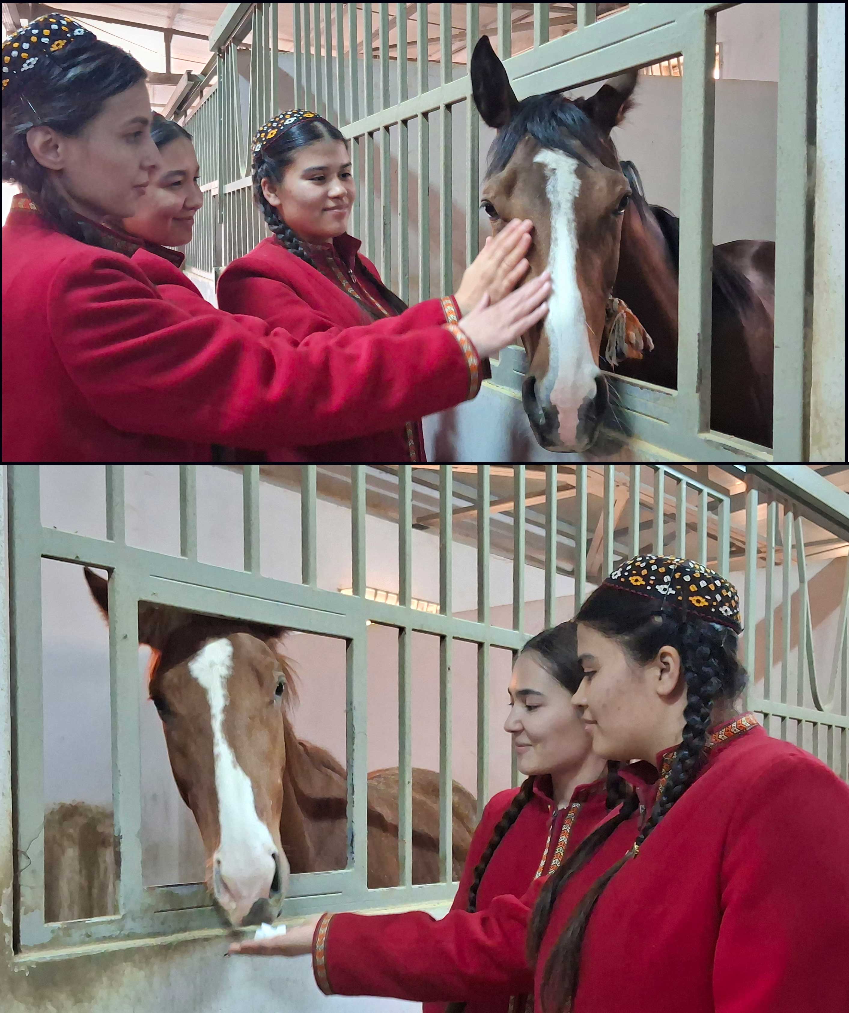 Çyn bedewler meýdanynda bellidir